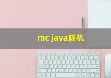 mc java联机